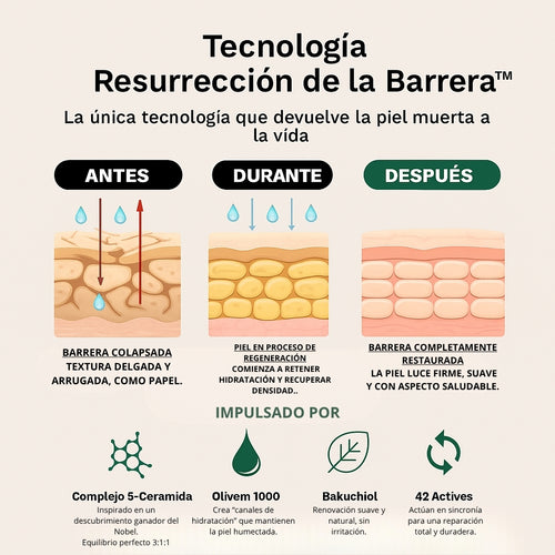 Crepey Skin — Loción Reparadora y Reafirmante